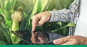 Sustainable Rural Development Law