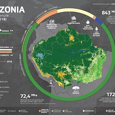 Timeline: Actividad 11.2 Globalización y medio ambiente de la región Amazónica