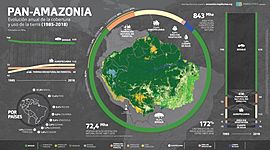 Timeline: Actividad 11.2 Globalización y medio ambiente de la región Amazónica