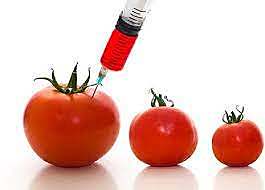 Law on Biosafety of Genetically Modified Organisms