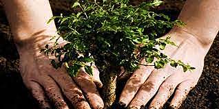 Sustainable Rural Development Law