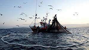 General Law of Sustainable Fishing and Aquaculture