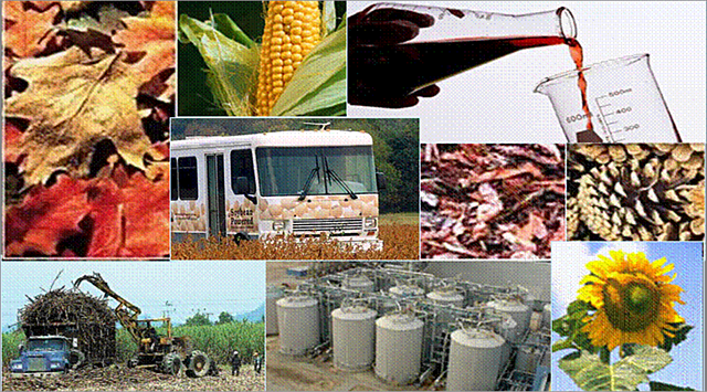 Law for the Promotion and Development of Bioenergetics