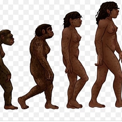Timeline: Linia  de tiempo de la evolucion del ser humano