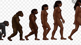 Timeline: Linia  de tiempo de la evolucion del ser humano