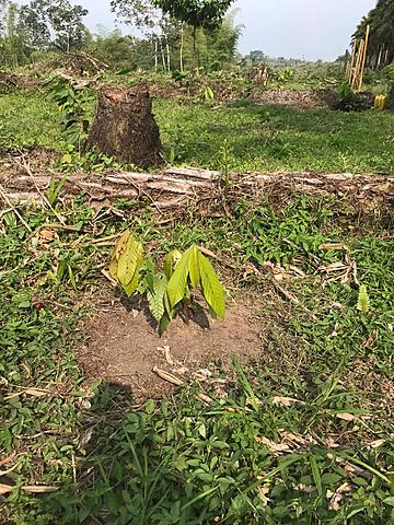 SEGUNDA SEMANA - BITACORA PLANTA