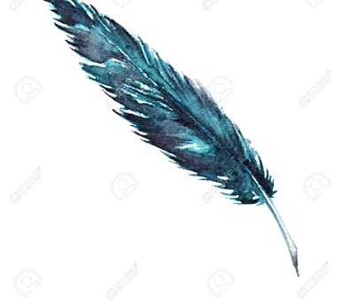 PLUMA DE AVE
