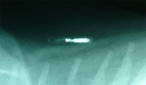 Microchipping of all dogs in England.