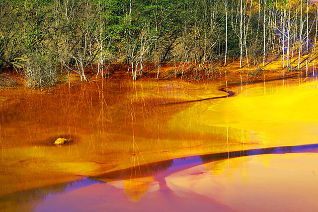 China completes the largest environmental cleanup in its history.