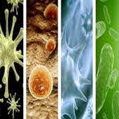 Timeline: Las pandemias a lo largo del tiempo