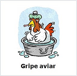 Gripe aviar