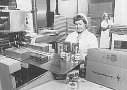 Ingreso Categorías Galletas