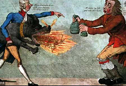 Napoleons Tax System