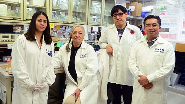 Aportes científicos para combatir el Covid 19