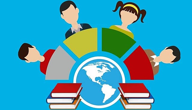 Organización curricular