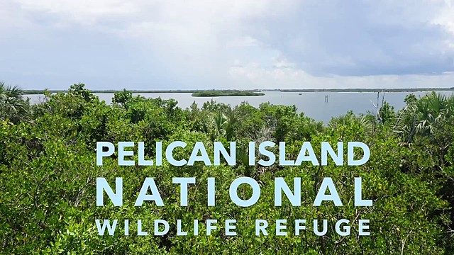 Pelican Island