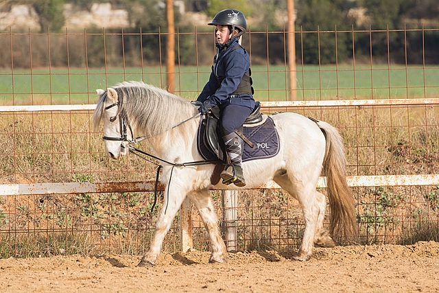 COMENÇAR  ENSERIO A LA DOMA CLASSICA