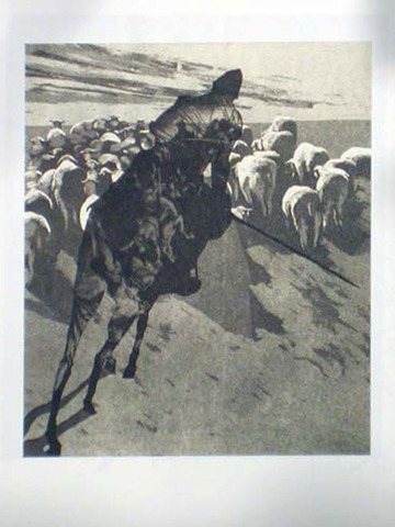 El ejercito de ovejas !