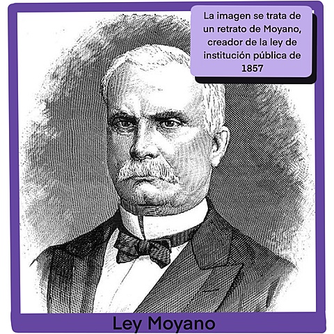 Ley de Institución pública de Moyano