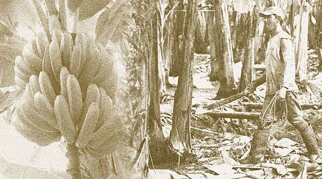 UNA ETAPA DE ESTABILIDAD