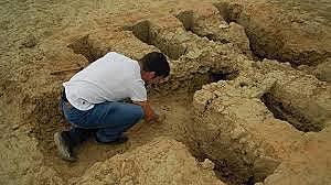 Excavación arquológica.