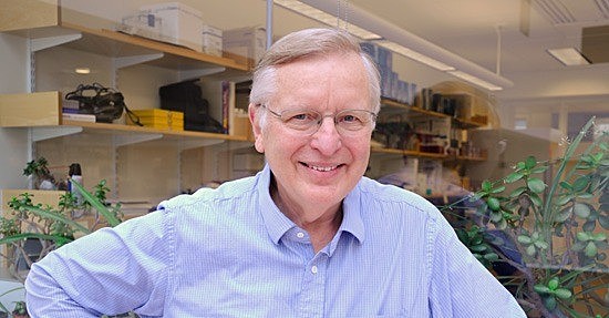 Programa que aprendía a partir de ejemplos