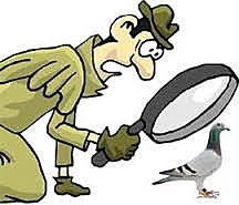 Método de investigación empírico y experimental