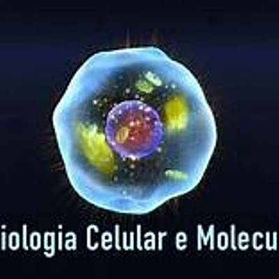 Timeline: P3A1 - BCyM - Perea Alba