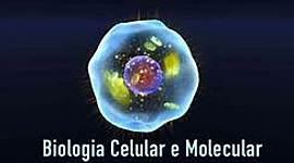 Timeline: P3A1 - BCyM - Perea Alba