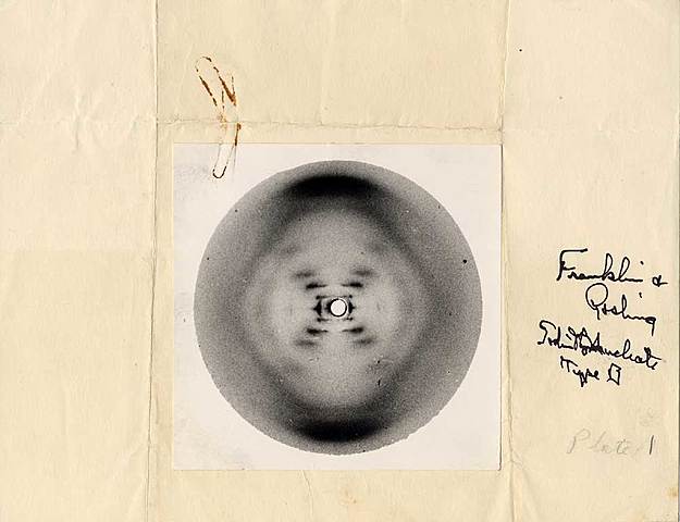 Rosalind Elsie Franklin: Foto-radiografía del ADN