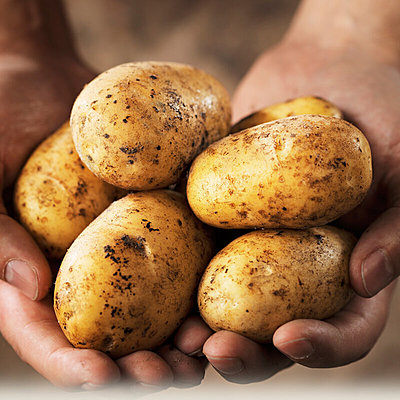 Timeline: potatoes