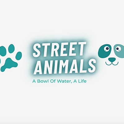 Timeline:  Street Anımal!