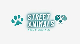 Timeline:  Street Anımal!