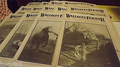 Wallace becomes editor