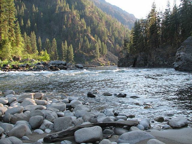 The Wilderness Protection Act