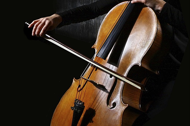 Violoncello