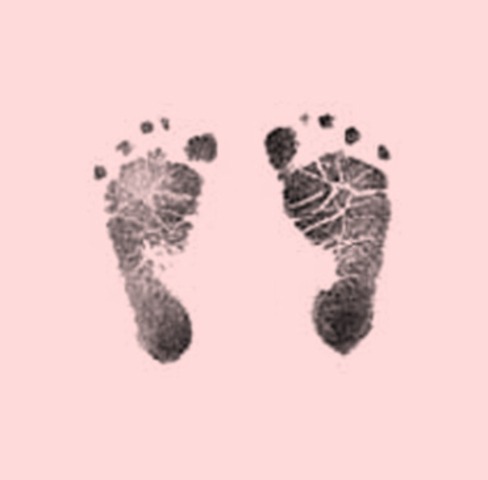 Daisy Isabelle Hollis born in WV