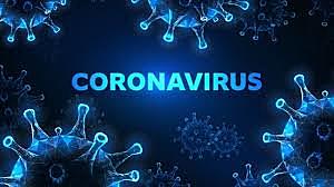 Coronavirus. Una pandemia en la Era Digital