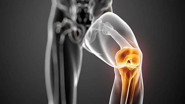 Capacidad articular.