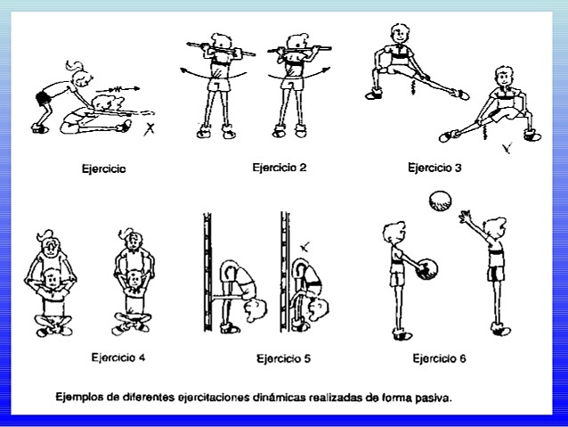 Metodología para el desarrollo de la flexibilidad