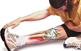 Definiciones de flexibilidad