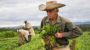 Haga clic aquí para ver los acontecimientos ocurridos.