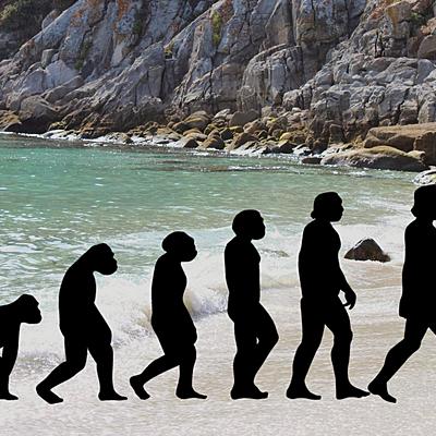 Timeline: DEL AUSTRALOPITHECUS AL HOMO SAPIENS
