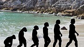 Timeline: DEL AUSTRALOPITHECUS AL HOMO SAPIENS