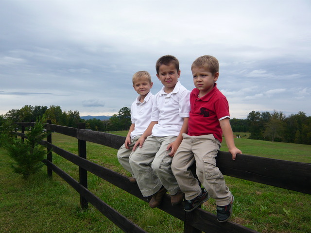 mom's cousin gets married, we go to a nice farm for the wedding