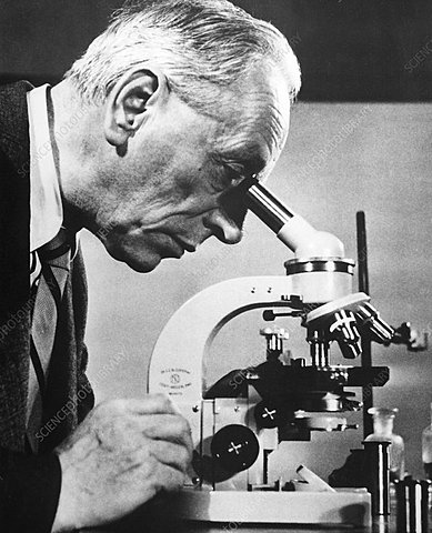 Frits Zernike's phase-contrast microscope