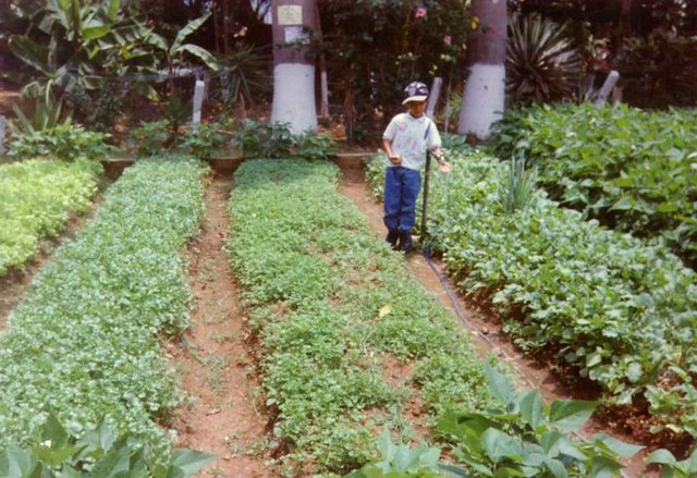 Una de las tantas zonas verdes que habían en la institución