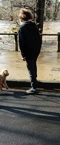 El temporal Glòria - Fet: Climàtic