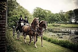 Segunda estadia en Gmunden (4 años).