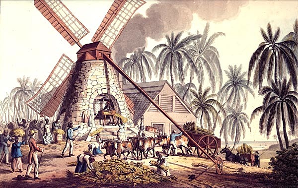 En Brasil comienzan las importaciones masivas de esclavos para la producción azucarera